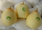 2021 New Crop Chinese Pear